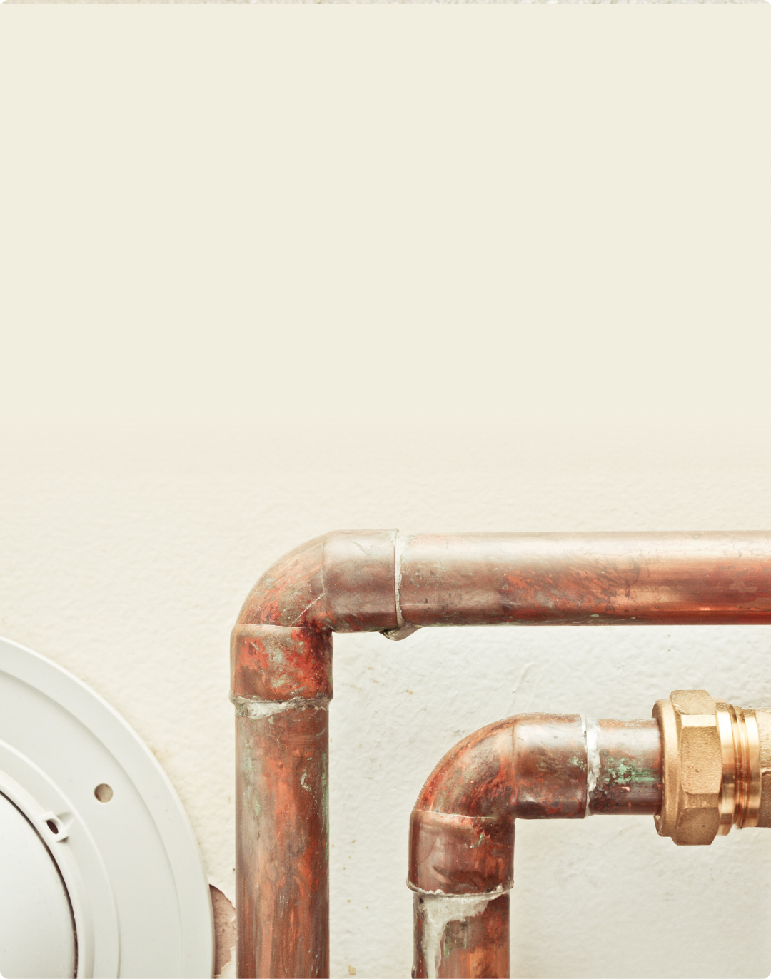 Exposed copper water pipes with soldered elbow joints and a brass compression fitting mounted on a light interior wall